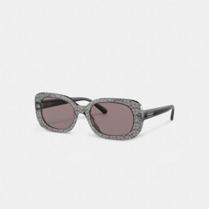 Coach Badge Rounded Square Sunglasses Gris | COH866369