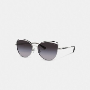 Coach Bandit Wire Oval Sunglasses Gris | COH866327