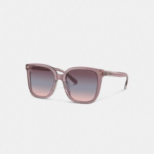 Coach Beveled Signature Oversized Square Sunglasses Rosas | COH866399