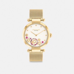 Coach Cary Watch, 34 Mm Doradas | COH866246