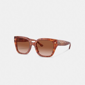 Coach Charms Oversized Square Sunglasses Marrones | COH866328