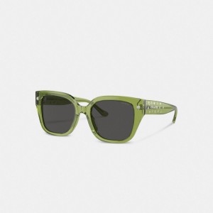 Coach Charms Oversized Square Sunglasses Verde | COH866383