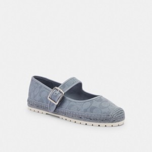 Coach Courtney Espadrille In Signature Canvas Gris Azules | COH865768