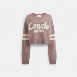 Coach Cropped Sweater Rosas | COH865984