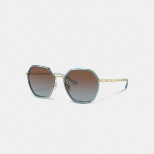 Coach Embellished Narrow Metal Hexagon Sunglasses Azules | COH866323