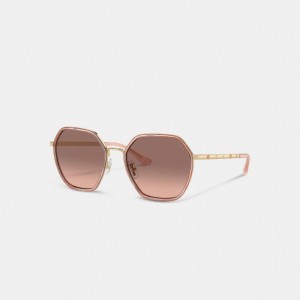 Coach Embellished Narrow Metal Hexagon Sunglasses Rosas | COH866326