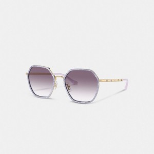 Coach Embellished Narrow Metal Hexagon Sunglasses Moradas | COH866347