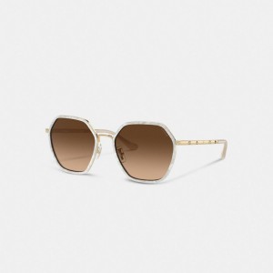 Coach Embellished Narrow Metal Hexagon Sunglasses Marrones | COH866379