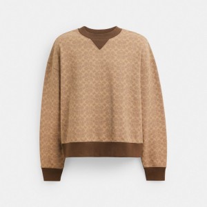 Coach Essential Signature Crewneck Marrones | COH866883