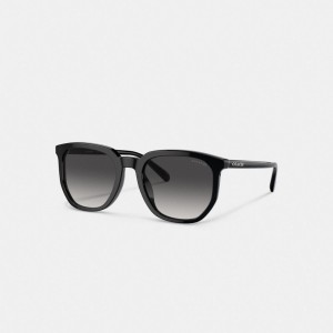 Coach Geometric Square Sunglasses Negras | COH866361