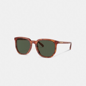 Coach Geometric Square Sunglasses Verde | COH866336