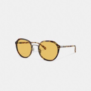 Coach Hangtag Geometric Round Sunglasses Naranjas | COH866360