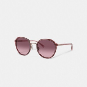 Coach Hangtag Geometric Round Sunglasses Burdeos | COH866394