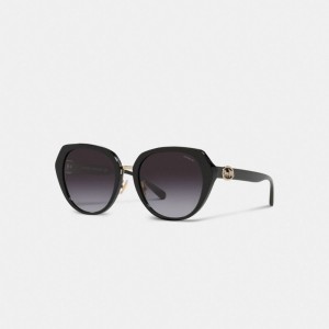 Coach Horse And Carriage Oversized Round Sunglasses Negras | COH866344