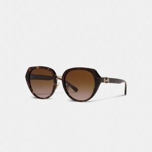 Coach Horse And Carriage Oversized Round Sunglasses Marrones | COH866376