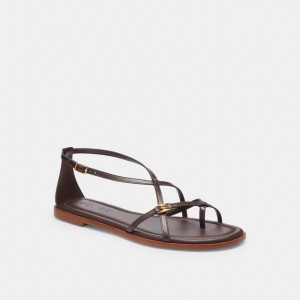 Coach Jenni Sandal Chocolate | COH865861