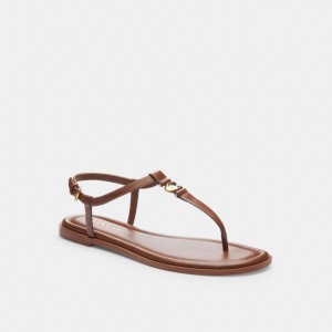 Coach Jessica Sandal Marrones | COH865902