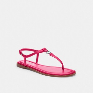 Coach Jessica Sandal Rosas | COH865849