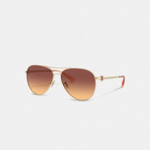 Coach Metal Aviator Sunglasses Marrones Oscuro | COH866377