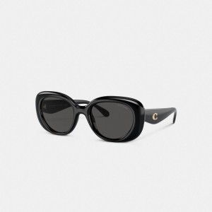 Coach Pillow Tabby Round Sunglasses Negras | COH866354