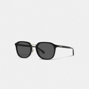 Coach Rounded Geometric Sunglasses Negras | COH866374