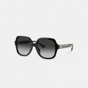 Coach Signature Ombré Oversized Square Sunglasses Negras | COH866355