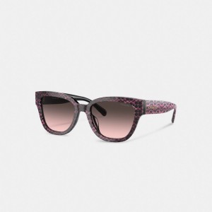 Coach Signature Round Sunglasses Rosas | COH866359