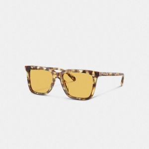 Coach Signature Square Sunglasses Naranjas | COH866398