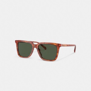 Coach Signature Square Sunglasses Verde | COH866338