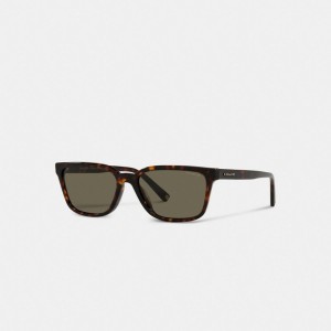 Coach Signature Workmark Square Sunglasses Marrones | COH866368