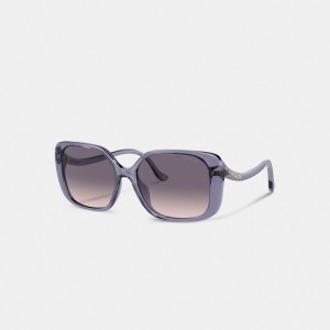 Coach Swoop Temple Rectangle Sunglasses Moradas | COH866343