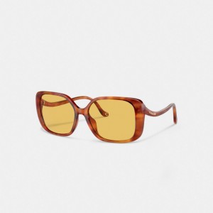 Coach Swoop Temple Rectangle Sunglasses Marrones | COH866375