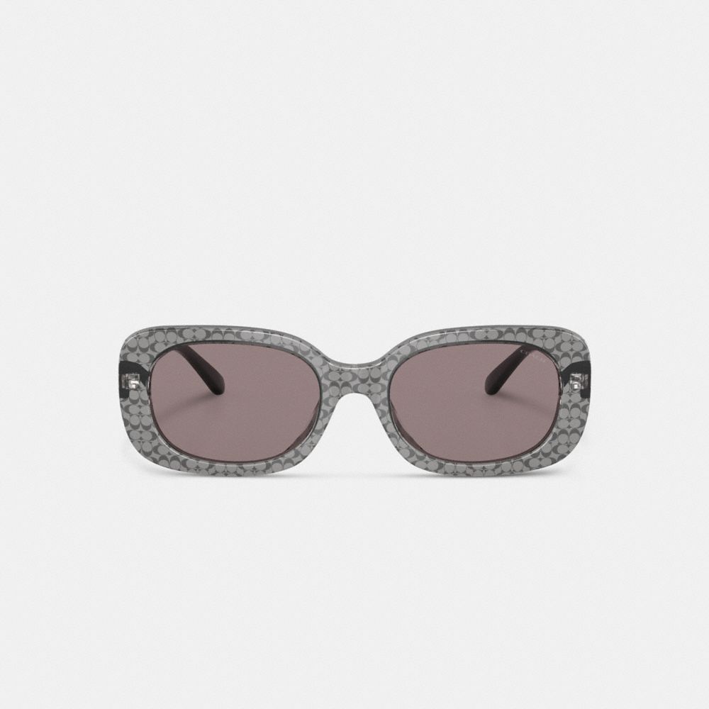 Coach Badge Rounded Square Sunglasses Gris | COH866369