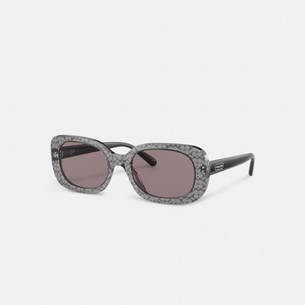 Coach Badge Rounded Square Sunglasses Gris | COH866369