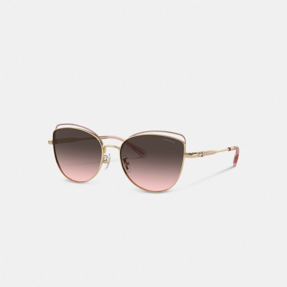 Coach Bandit Wire Oval Sunglasses Gris Rosas | COH866381