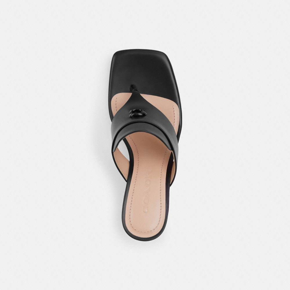 Coach Bree Sandal Negras | COH865866