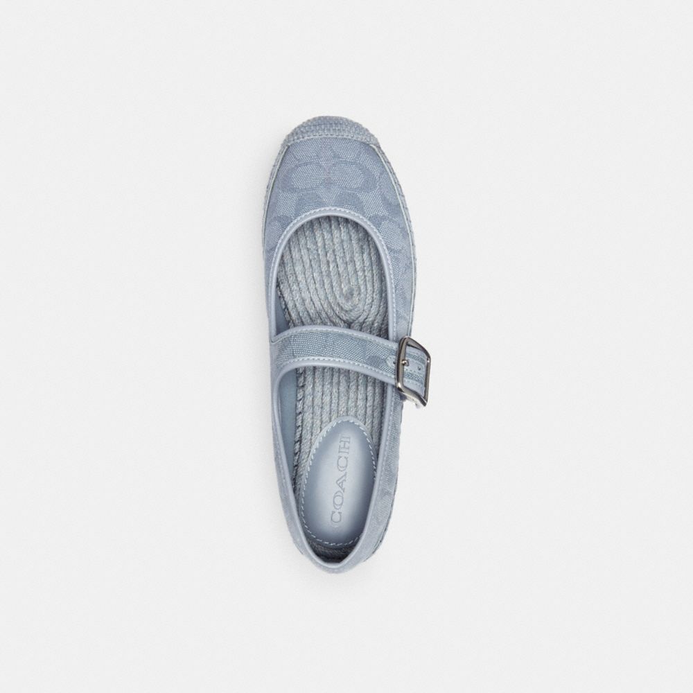 Coach Courtney Espadrille In Signature Canvas Gris Azules | COH865768