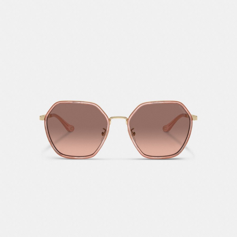 Coach Embellished Narrow Metal Hexagon Sunglasses Rosas | COH866326