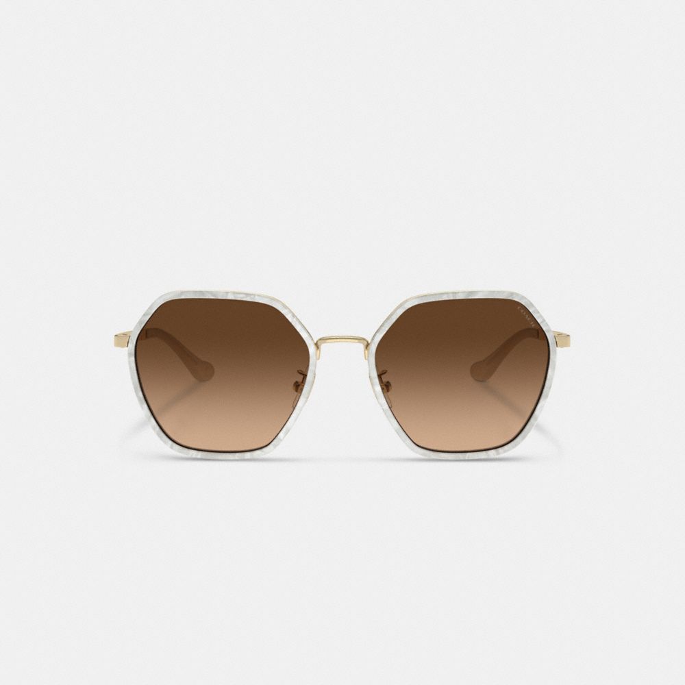 Coach Embellished Narrow Metal Hexagon Sunglasses Marrones | COH866379