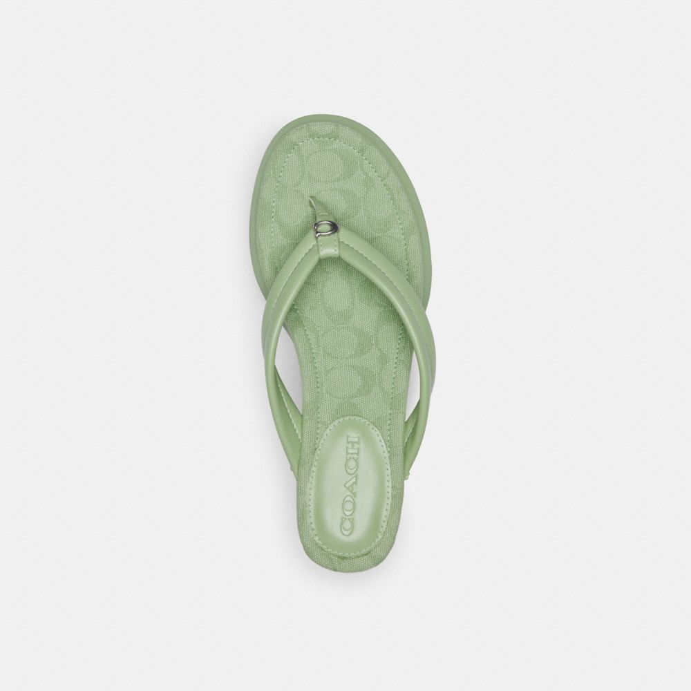 Coach Franki Flip Flop In Signature Jacquard Moutarde | COH865848