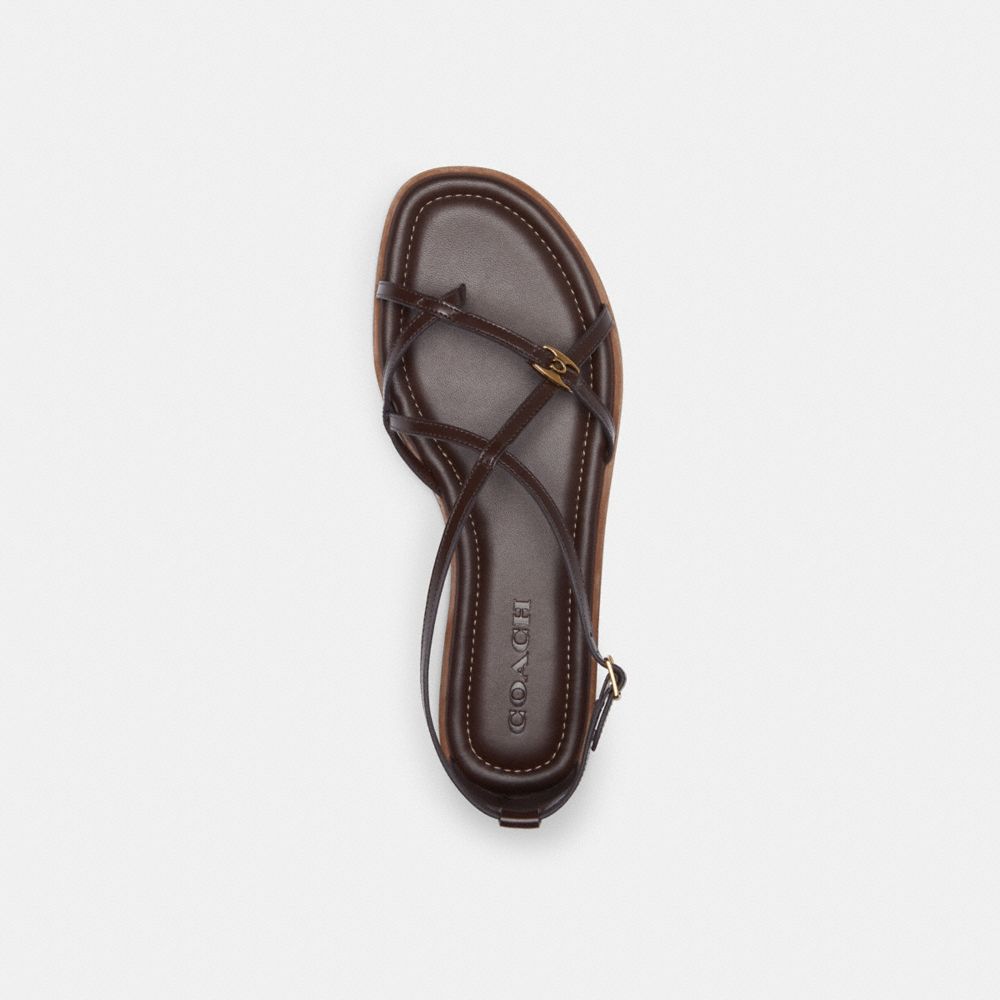 Coach Jenni Sandal Chocolate | COH865861