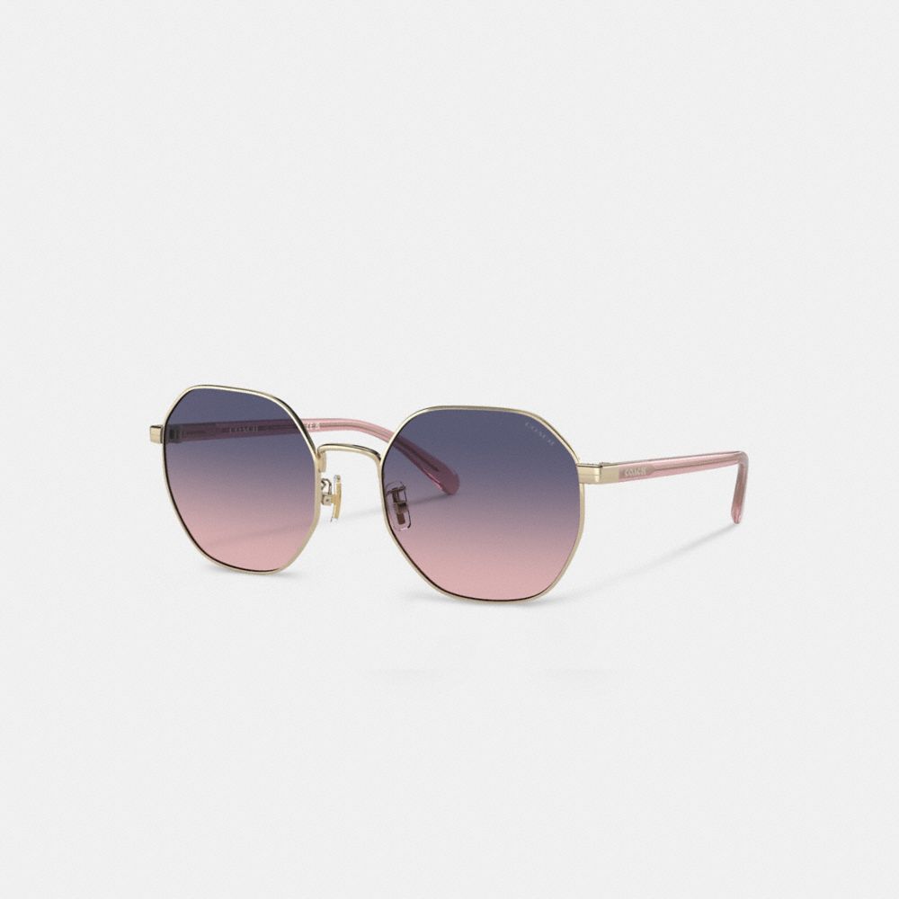 Coach Metal Hexagon Sunglasses Moradas Rosas | COH866356