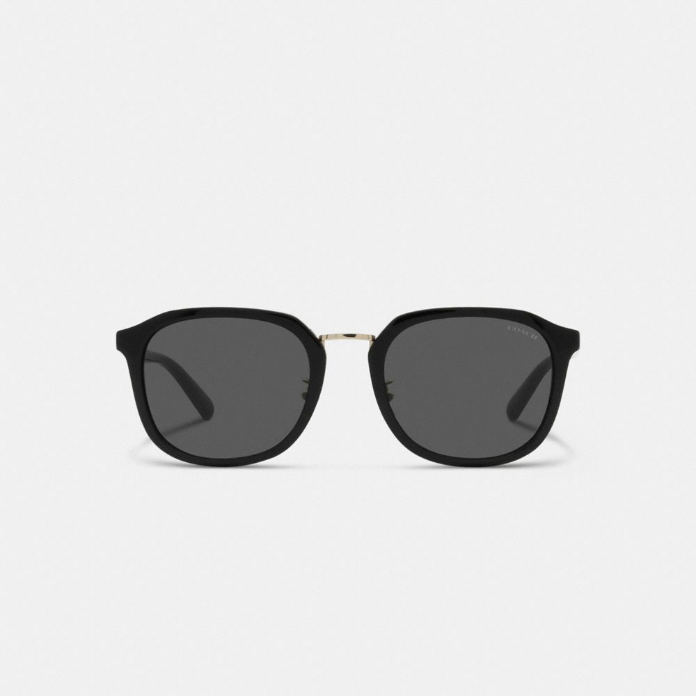 Coach Rounded Geometric Sunglasses Negras | COH866374