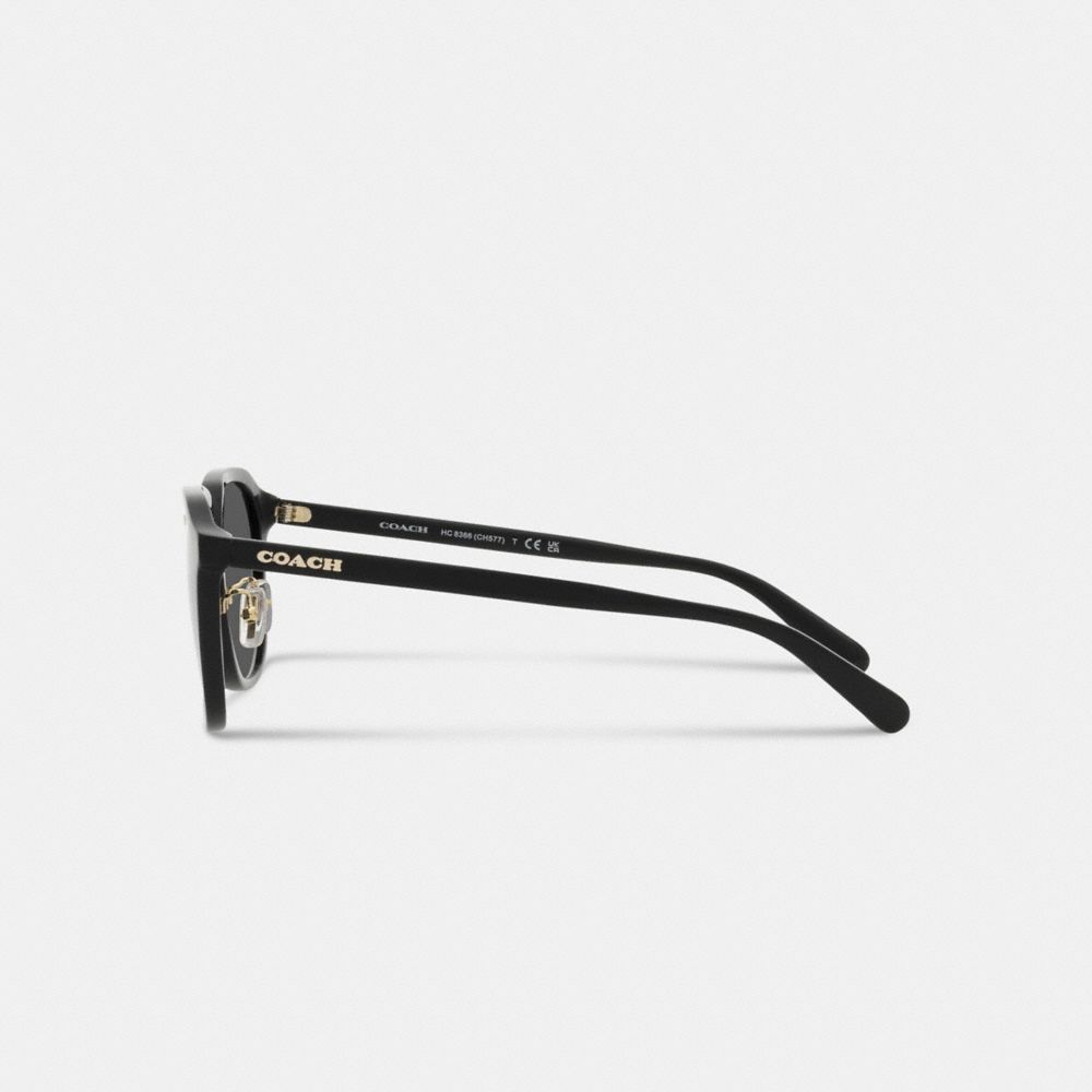 Coach Rounded Geometric Sunglasses Negras | COH866374