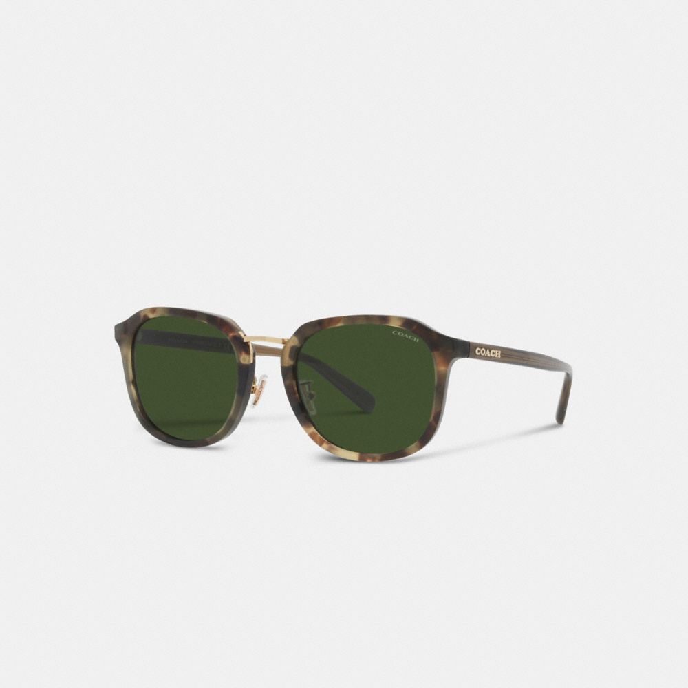 Coach Rounded Geometric Sunglasses Verde | COH866342