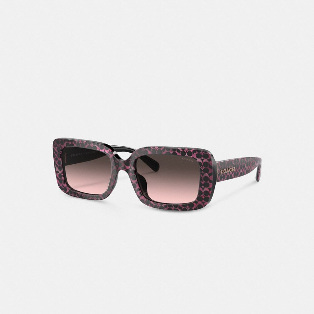 Coach Signature Oversized Rectangle Sunglasses Negras Rosas | COH866333