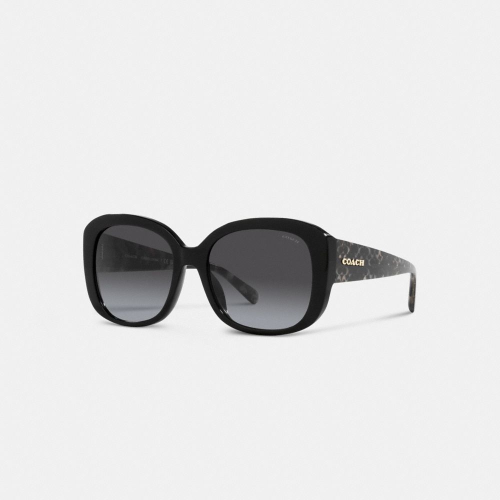 Coach Signature Oversized Square Sunglasses Negras Negras | COH866350