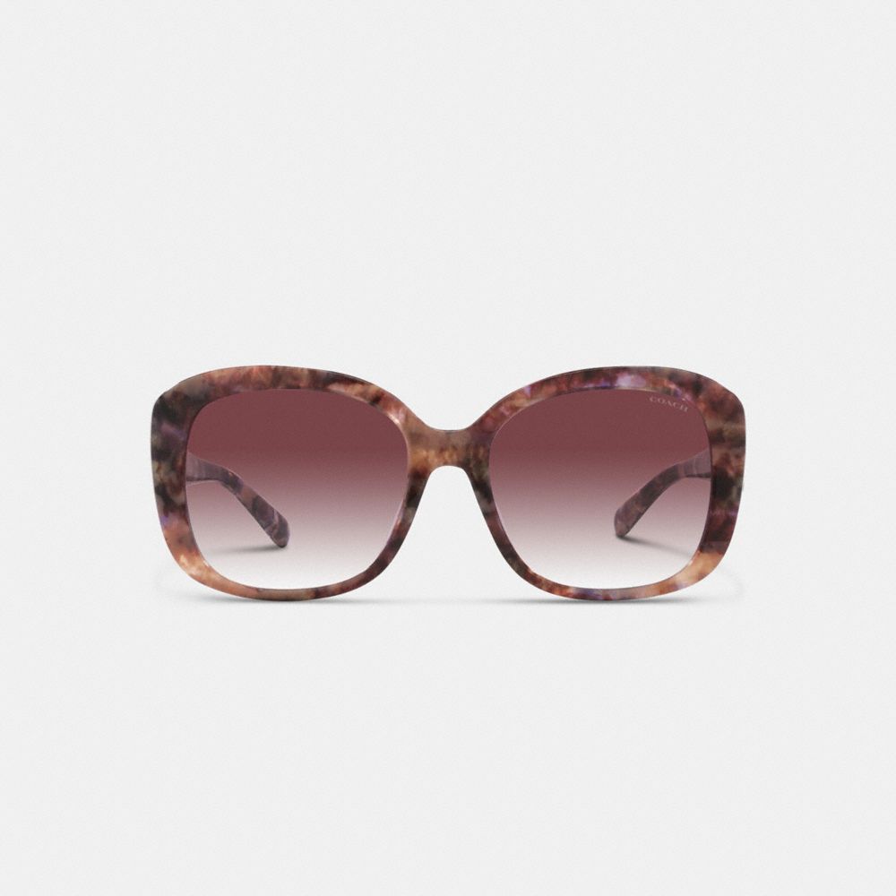 Coach Signature Oversized Square Sunglasses Moradas | COH866382