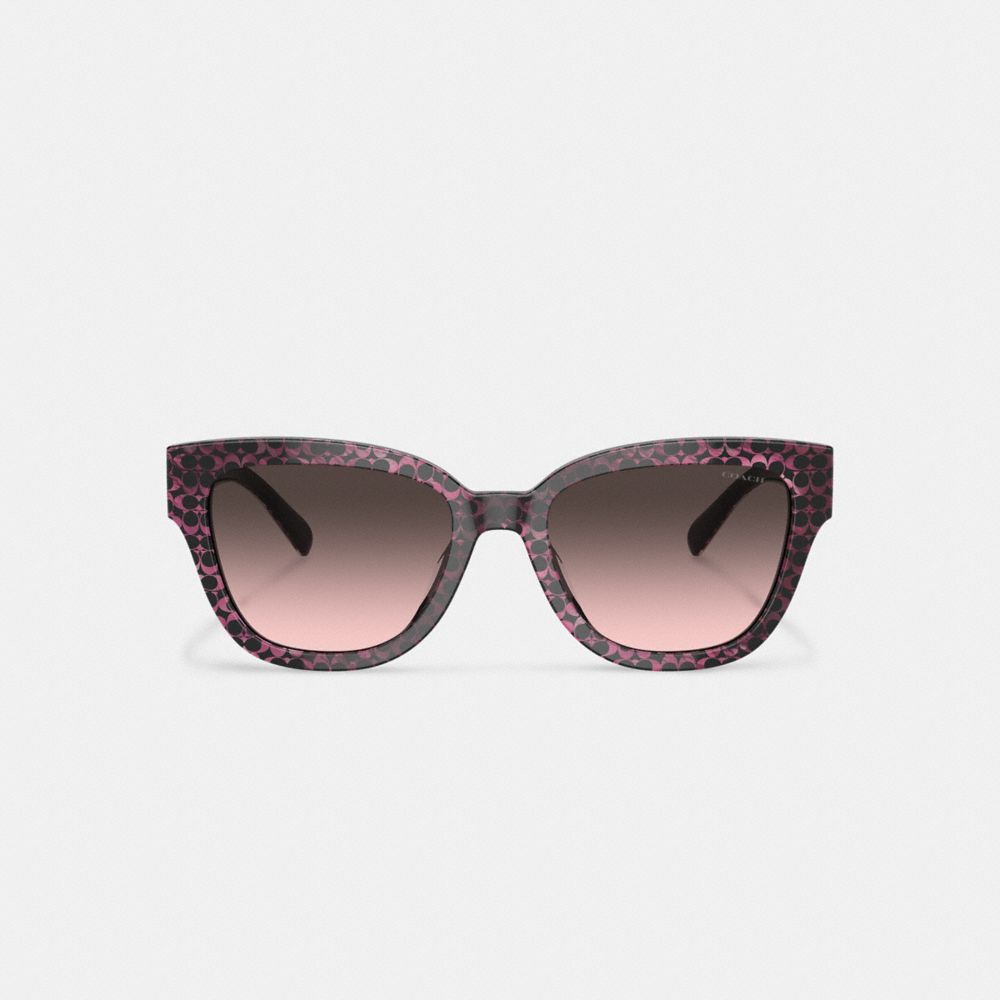 Coach Signature Round Sunglasses Rosas | COH866359