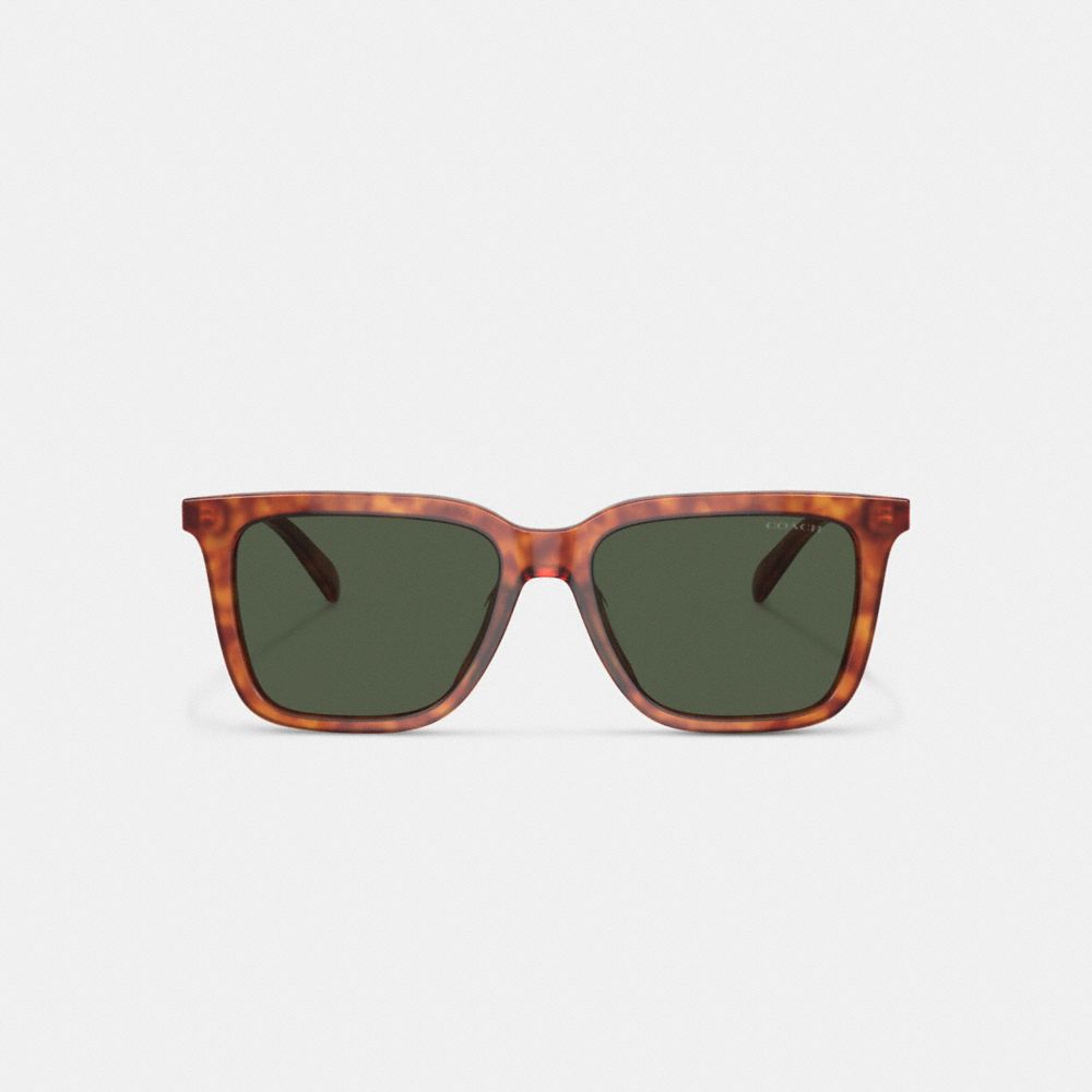 Coach Signature Square Sunglasses Verde | COH866338